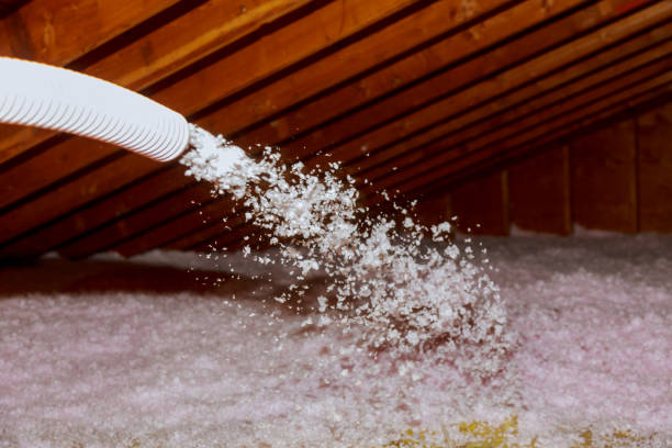 Best Insulation Inspection Services  in Gibbon, NE