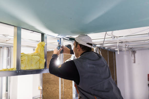 Insulation Contractors for Homes in Gibbon, NE