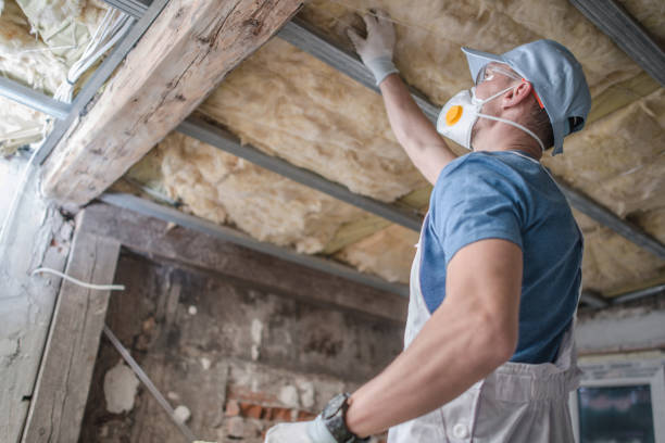 Best Professional Insulation Contractor  in Gibbon, NE