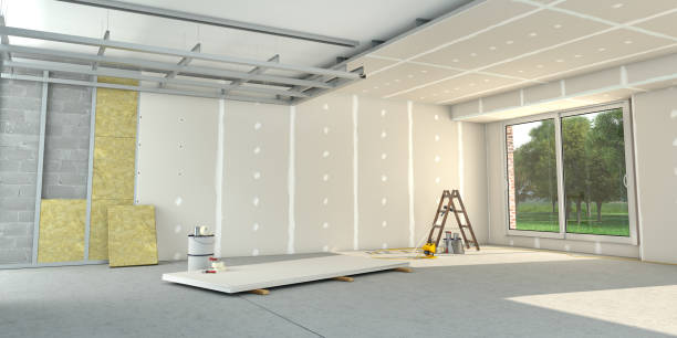Best Insulation Inspection Services  in Gibbon, NE