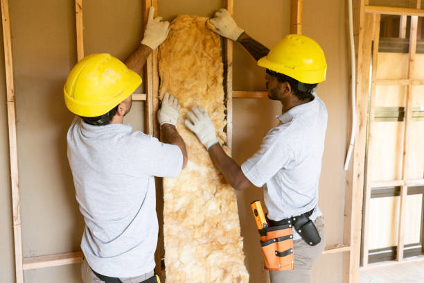 Best Fiberglass Insulation  in Gibbon, NE