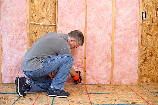 Best Attic Insulation Installation  in Gibbon, NE