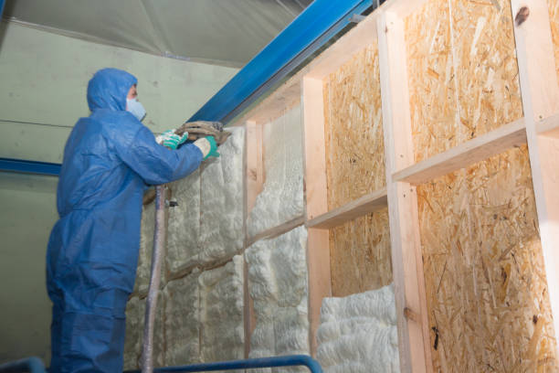 Best Best Insulation Companies  in Gibbon, NE