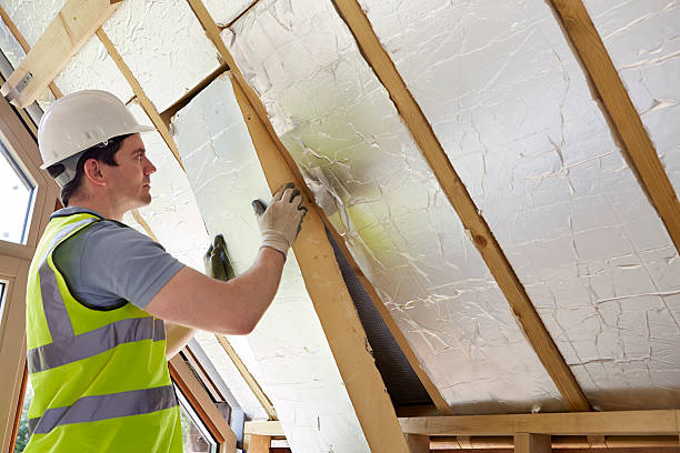 Best Garage Insulation Installation  in Gibbon, NE